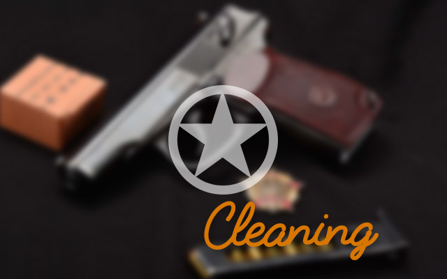 Makarov Makarov cleaning